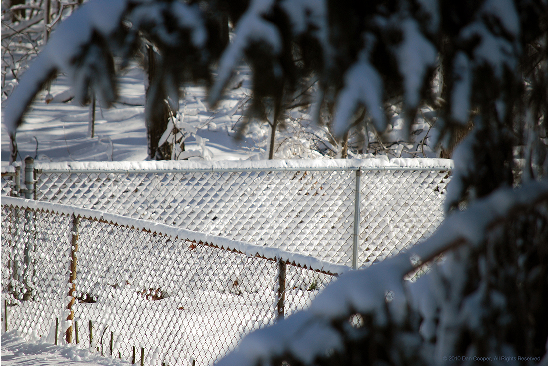 Snow on Chainlink Fence